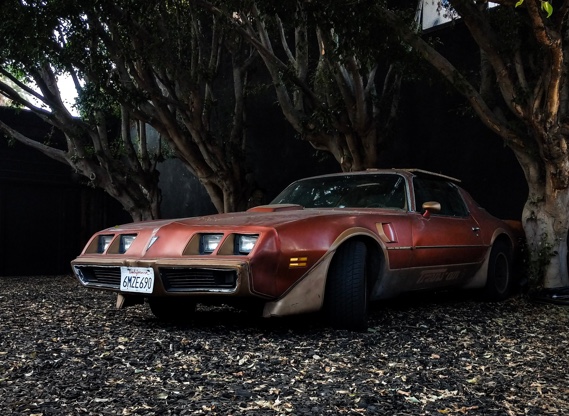 Rusting classic car parked under trees, ready to be junked