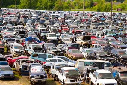 Rows of junk cars in a Massachusetts salvage yard